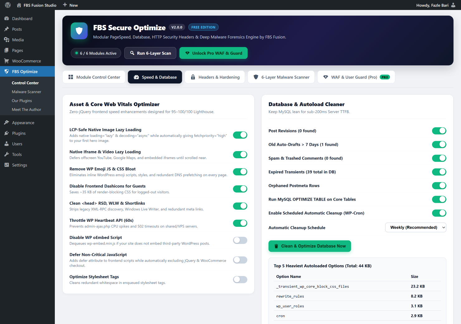 Top 5 Heaviest Autoloaded wp_options Inspector and 1-Click Database Cleaner